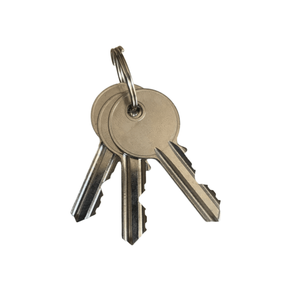 Alusel Sıva Üstü Anahtarlı Yaylı Buton (Key Switch)