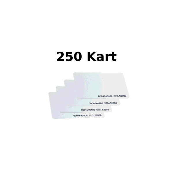 POLE MiFare Kart 250 Adet (13.56 MHz – ISO)